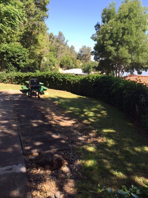 Clear Lake Vista Resort Kelseyville ภายนอก รูปภาพ