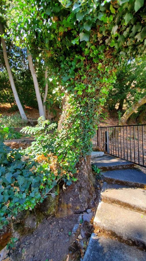 Clear Lake Vista Resort Kelseyville ภายนอก รูปภาพ